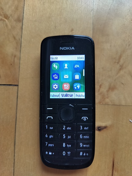 Nokia 113