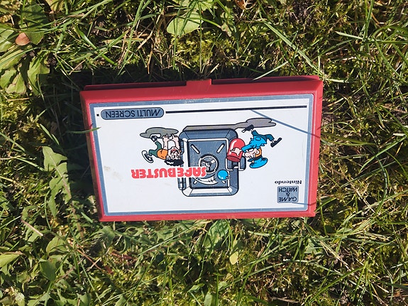 Nintendo