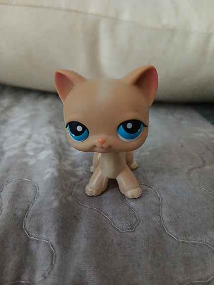 Lps seisova kissa aito