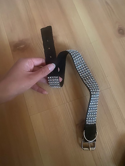Kaulapanta