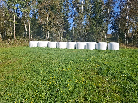 Heinää