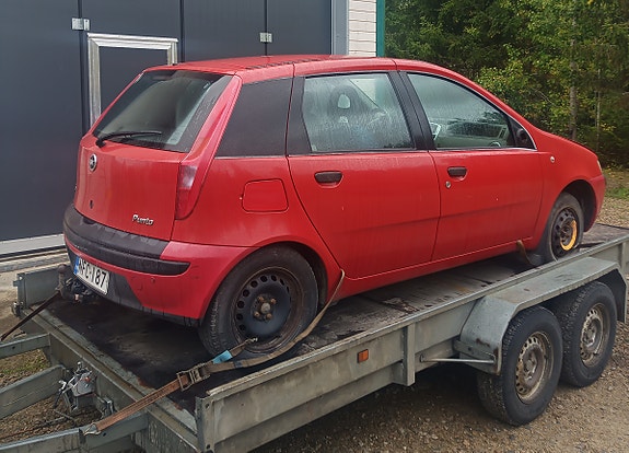 Fiat Punto osina