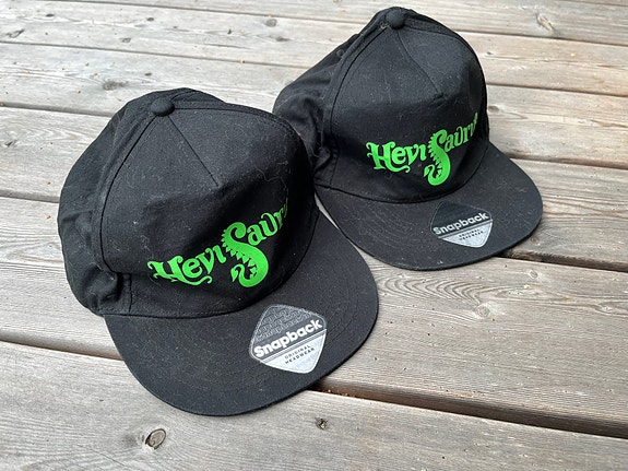 Hevisaurus snapback lippis