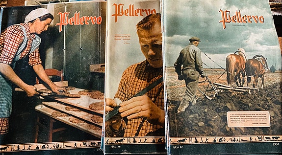 Pellervo-lehtiä 1950-luvulta, 11 kpl