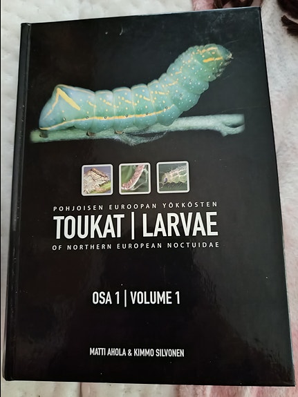 Pohjoisen Euroopan yökkösten toukat, osa 1