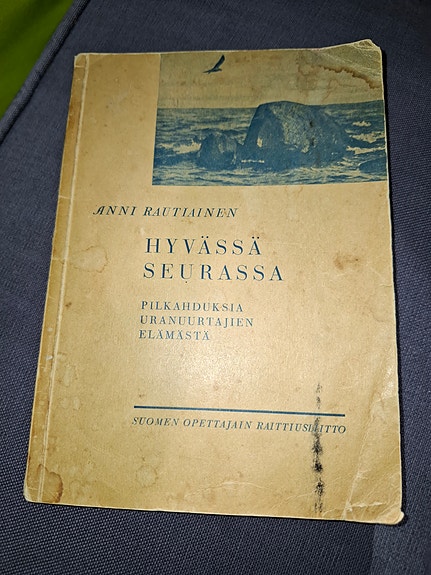 Anni Rauthanan Hyvässä seurassa kirja
