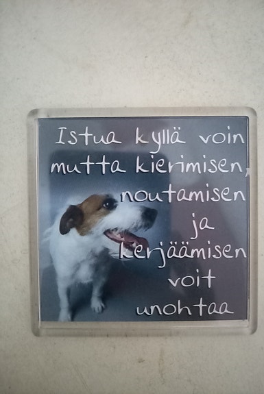 Magneetti