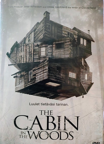 Cabin in the wood