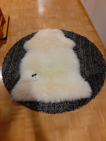 Lampaantalja aito, uusi