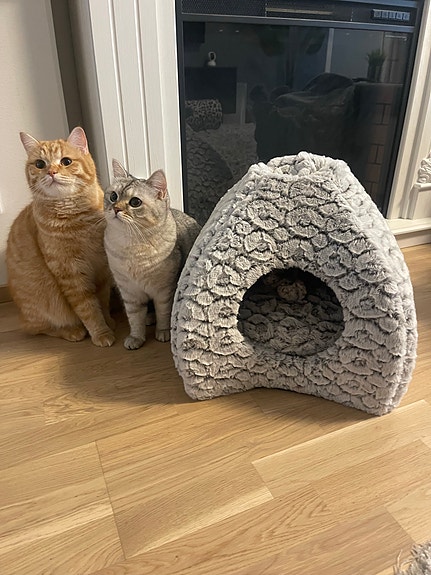 Muut pyorat Myydään (sivu 41) Tori