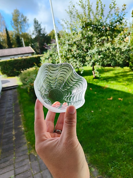 Riihimäen Lasi Koralli jälkiruokakulho 2kpl