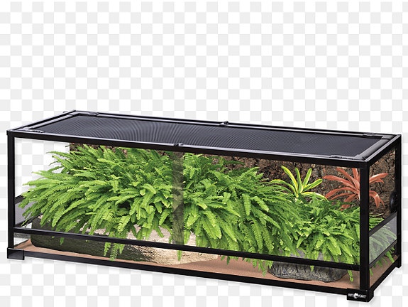 Ostetaan terraario
