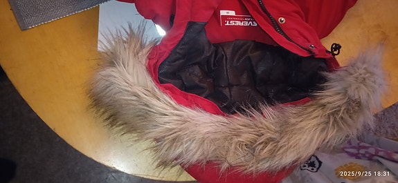Everest Naisten Talvitakki Punainen Koko 36 Tekokarvahupulla