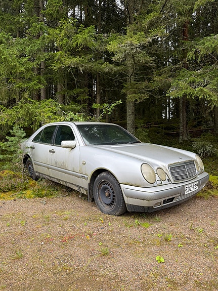 W210 osina