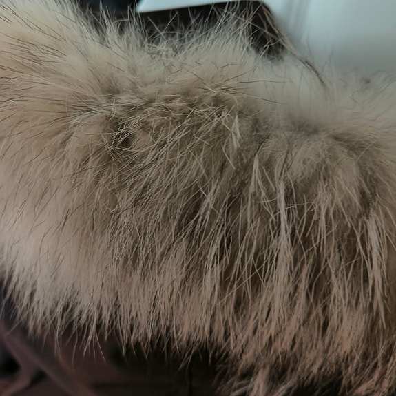 Product image 19 of 22