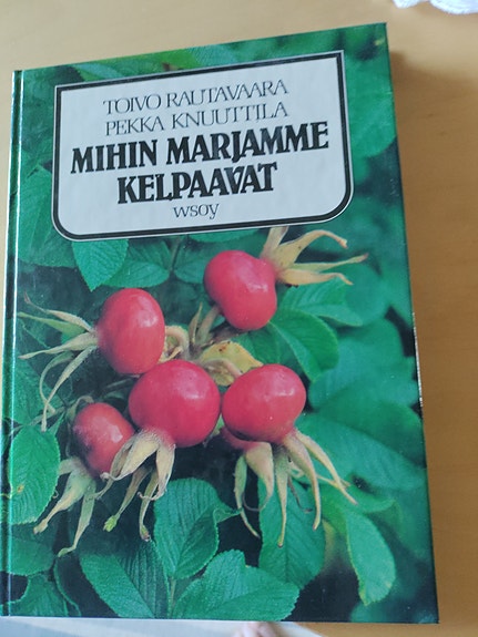 Toivo Rautavaara Marjakirja