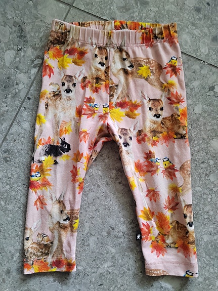 Molo legginssit 74