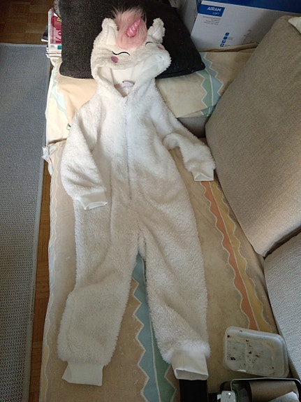 Peuhun pörrö haalari. 110 cm.