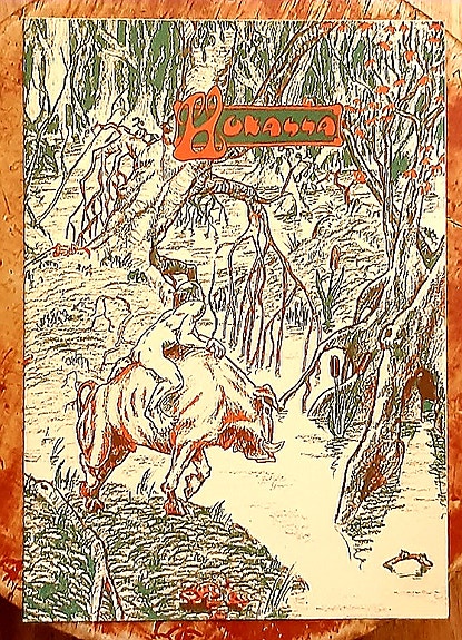 Mikko Jylhä : Hukassa -sarjakuvalehti