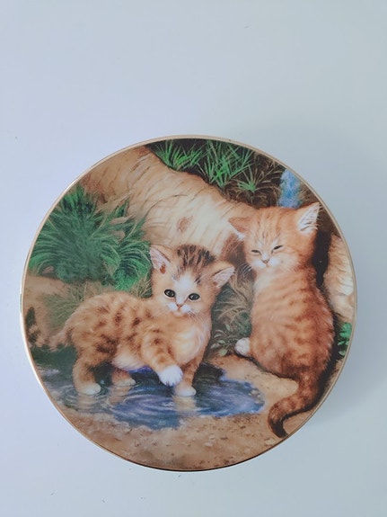 Suloinen kissa posliini taulu, Uusi! Koko: 14,5 cm.