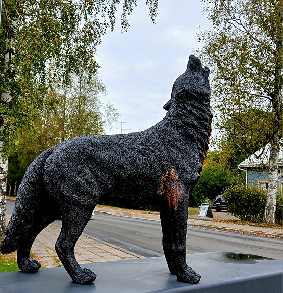 Product image 5 of 9