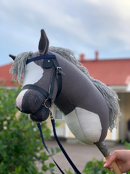 Arabi keppihevonen/keppari
