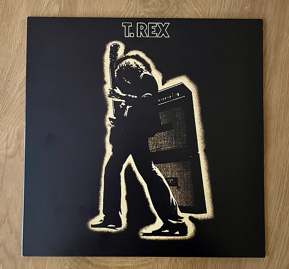 T. Rex: Electric Warrior (2014)