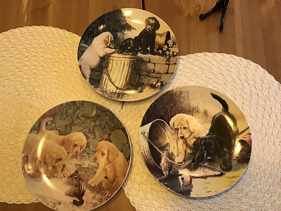 Labradorinnoutaja seinä/koriste lautaset 5€/kpl