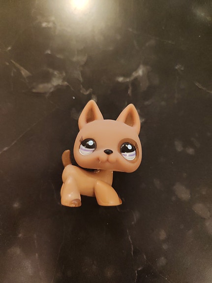 Littlest Pet Shop Koira AITO