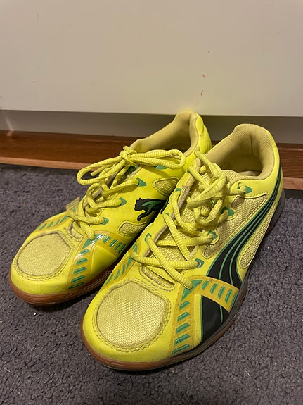 Puma sisäpelikengät 37