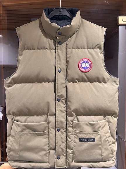 Canada goose