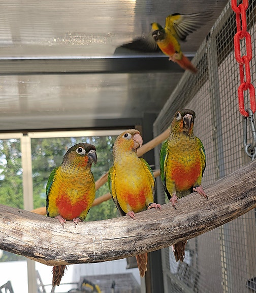 Product image 4 of 9