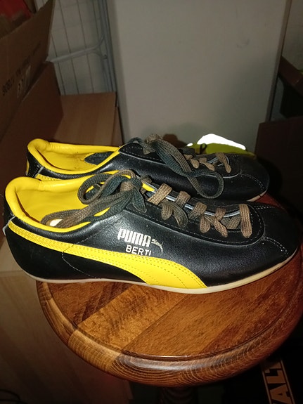 Puma berti