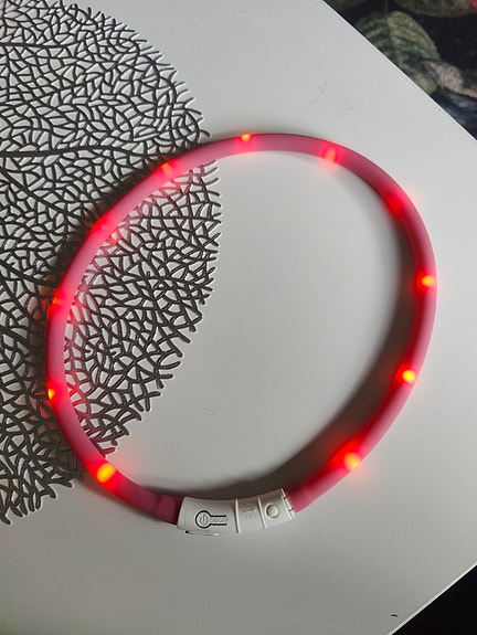 LED-valopanta koiralle punainen