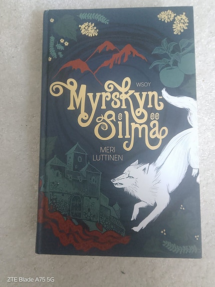 Meri Luttinen: Myrskyn silmä