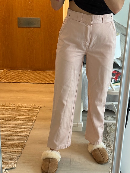 Dickies W27