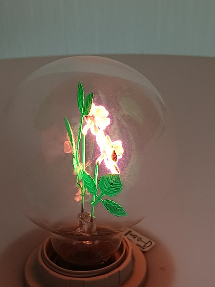 Product image 1 of 10