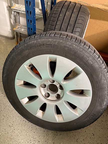Audi 16” vanteet kesärenkailla