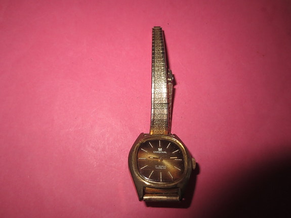 Naisten Rannekello, Gardinal, 17  Jewels