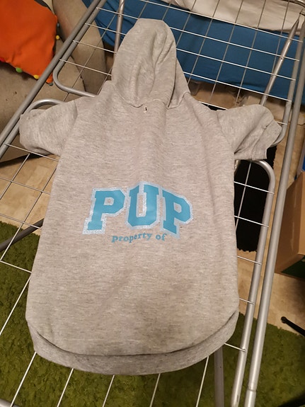 Huppari koiralle