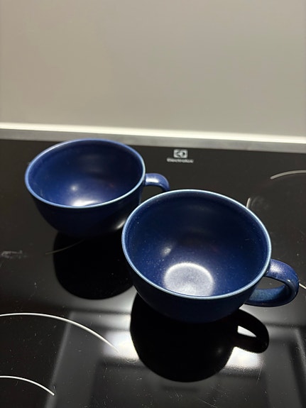 Iittala 24h mukit