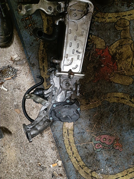 Mercedes Benz w212 egr