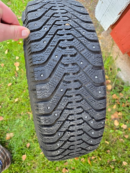 Kuvan goodyear grip