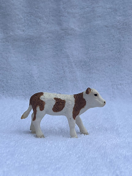 Schleich Vasikka