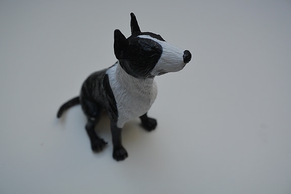 Bull Terrier