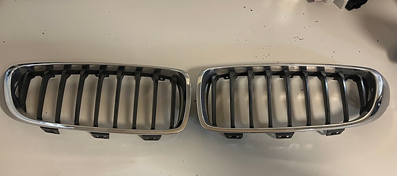 BMW munuaiset