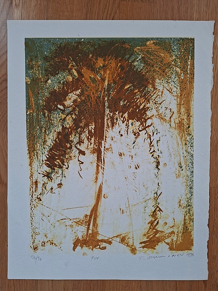 Tapani Mikkonen litografia