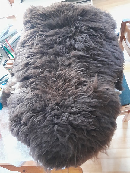 Lampaantaljoja