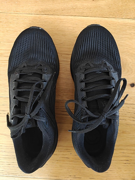 Niken Air Zoom Pegasus uudenveroiset