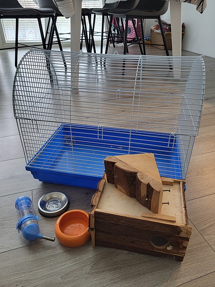 Hamsteri Jyrsijät ja kanit Myydään (sivu 2) Tori